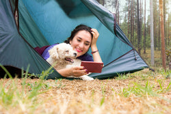 Dog-Friendly Beach Camping: Guide for You and Your Furry Friend