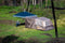 Coleman Gazebo Lighted Spring Hub 2.4x2.4m